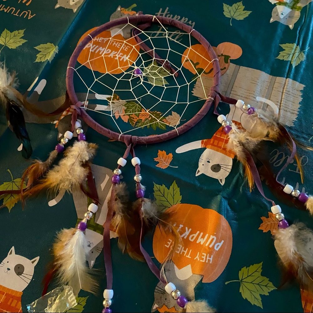 Dream Catchers
